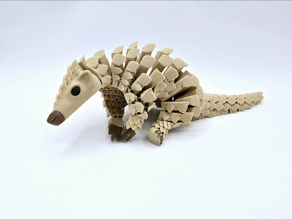 Pangolin view 2