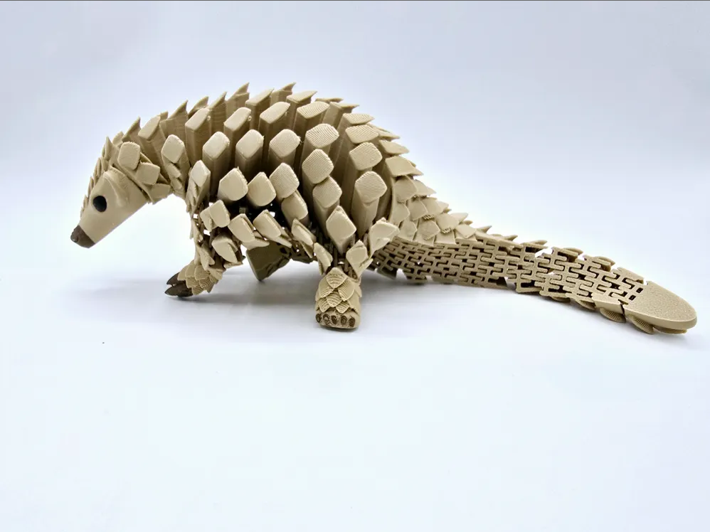 Pangolin view 3